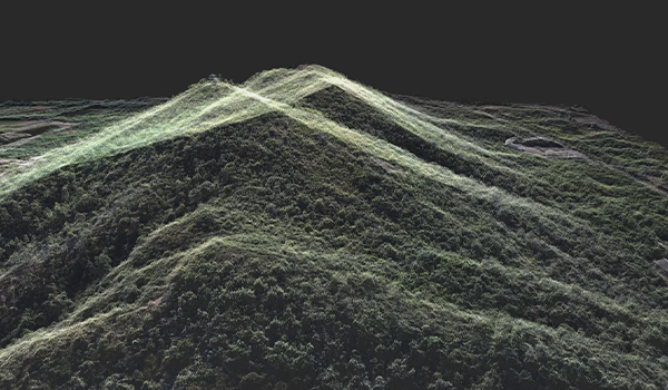 Apus-MX for forest surveying